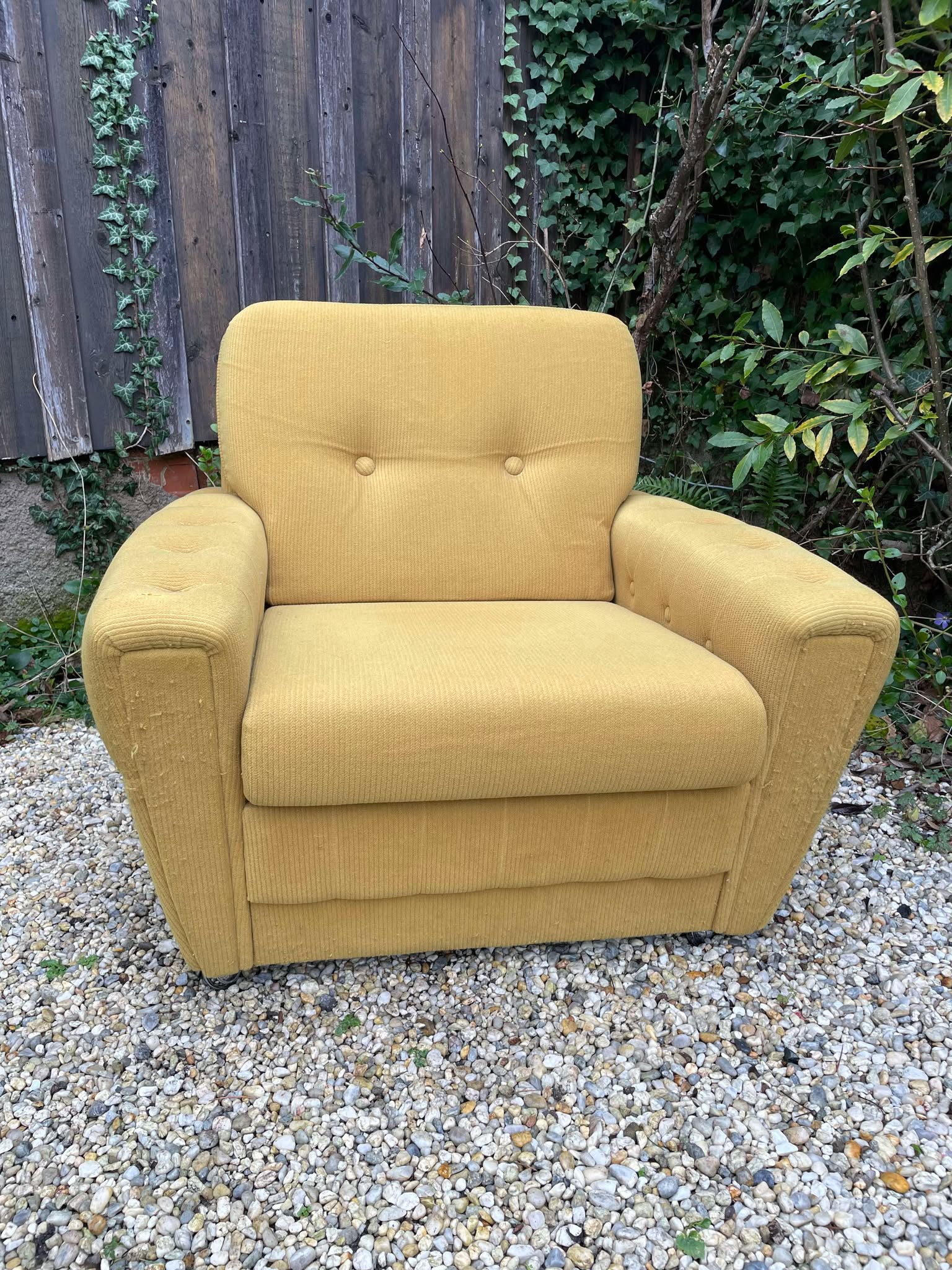 Fauteuil club velours moutarde