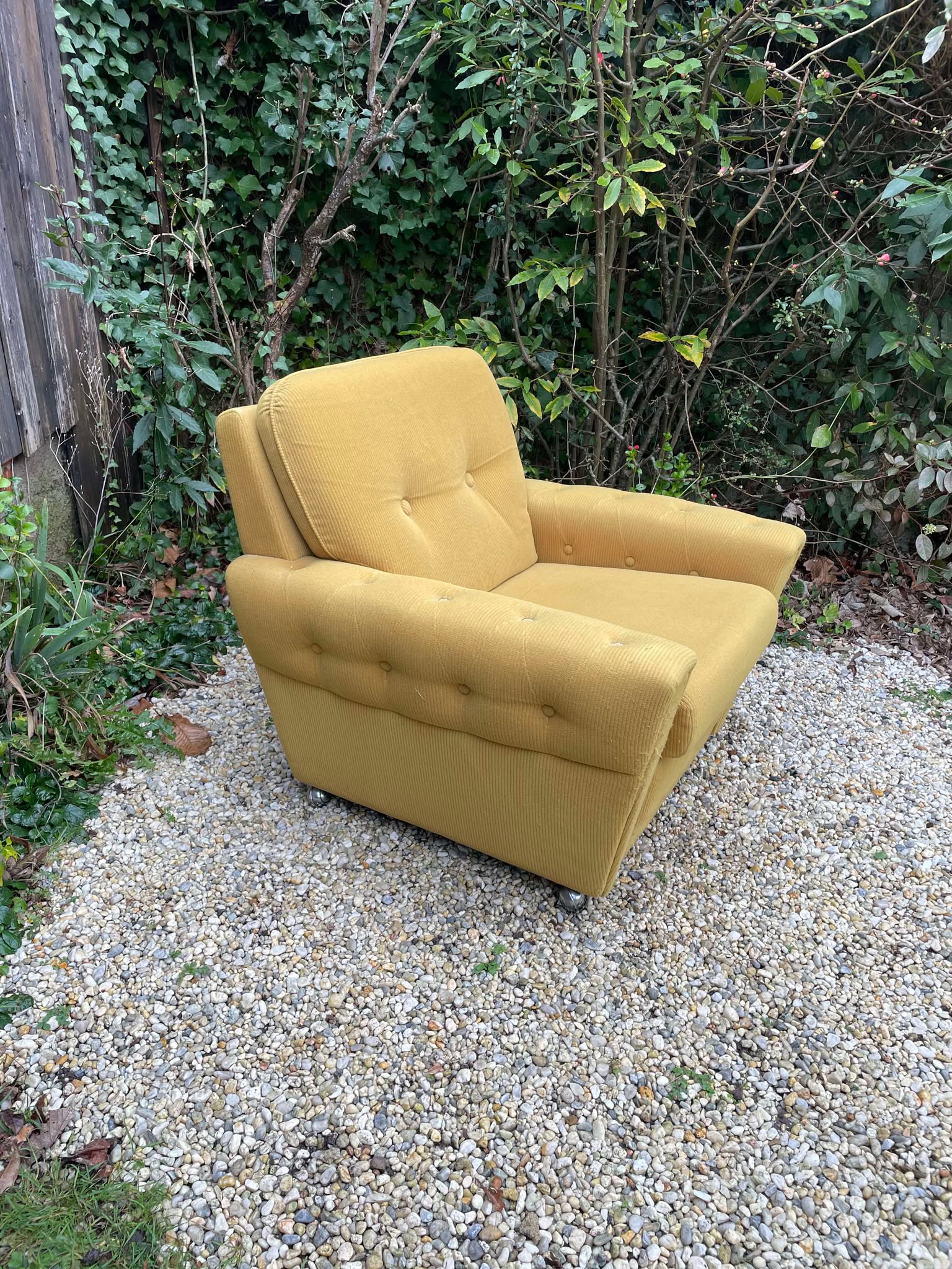 Fauteuil club velours moutarde