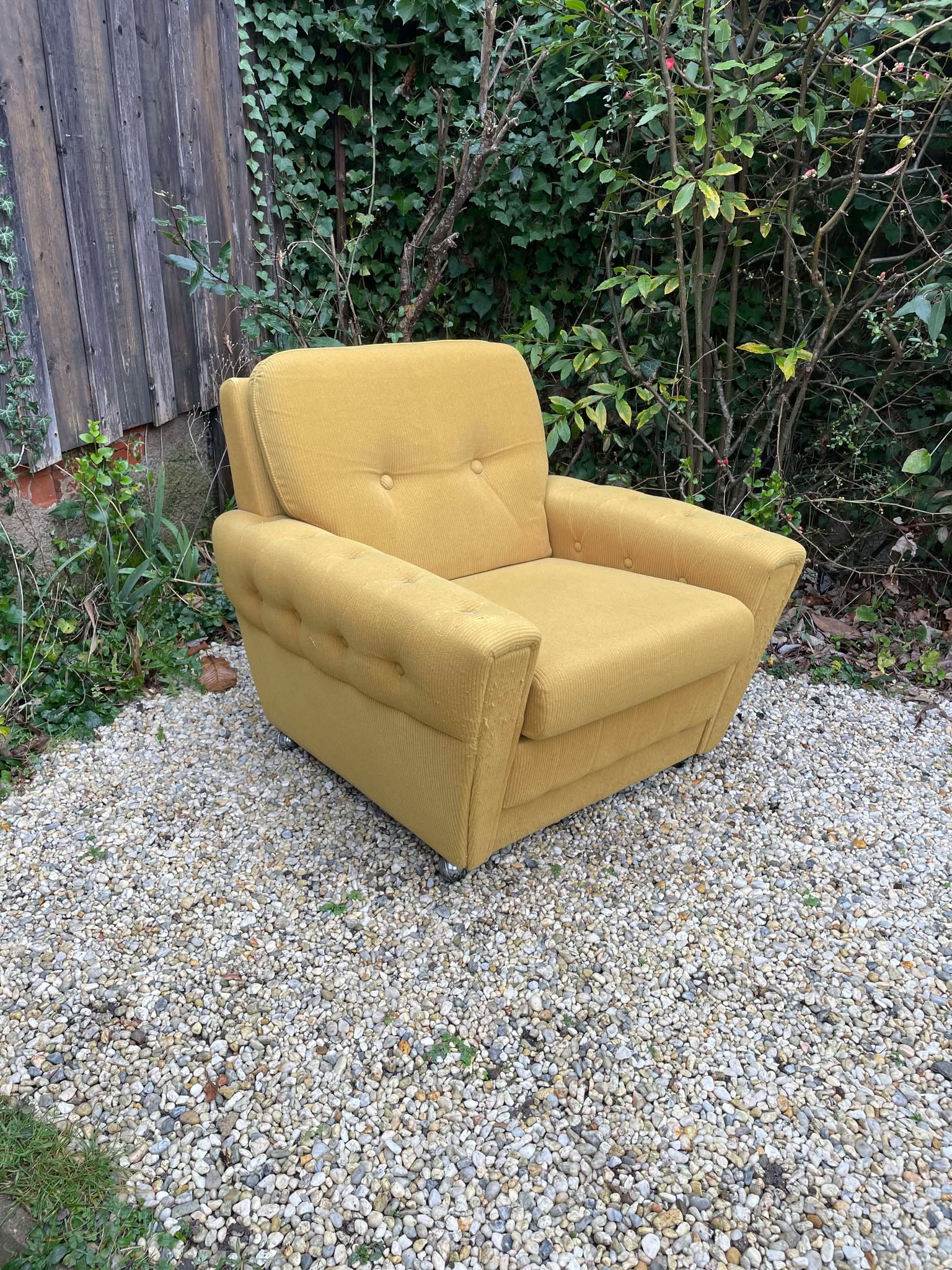 Fauteuil club velours moutarde