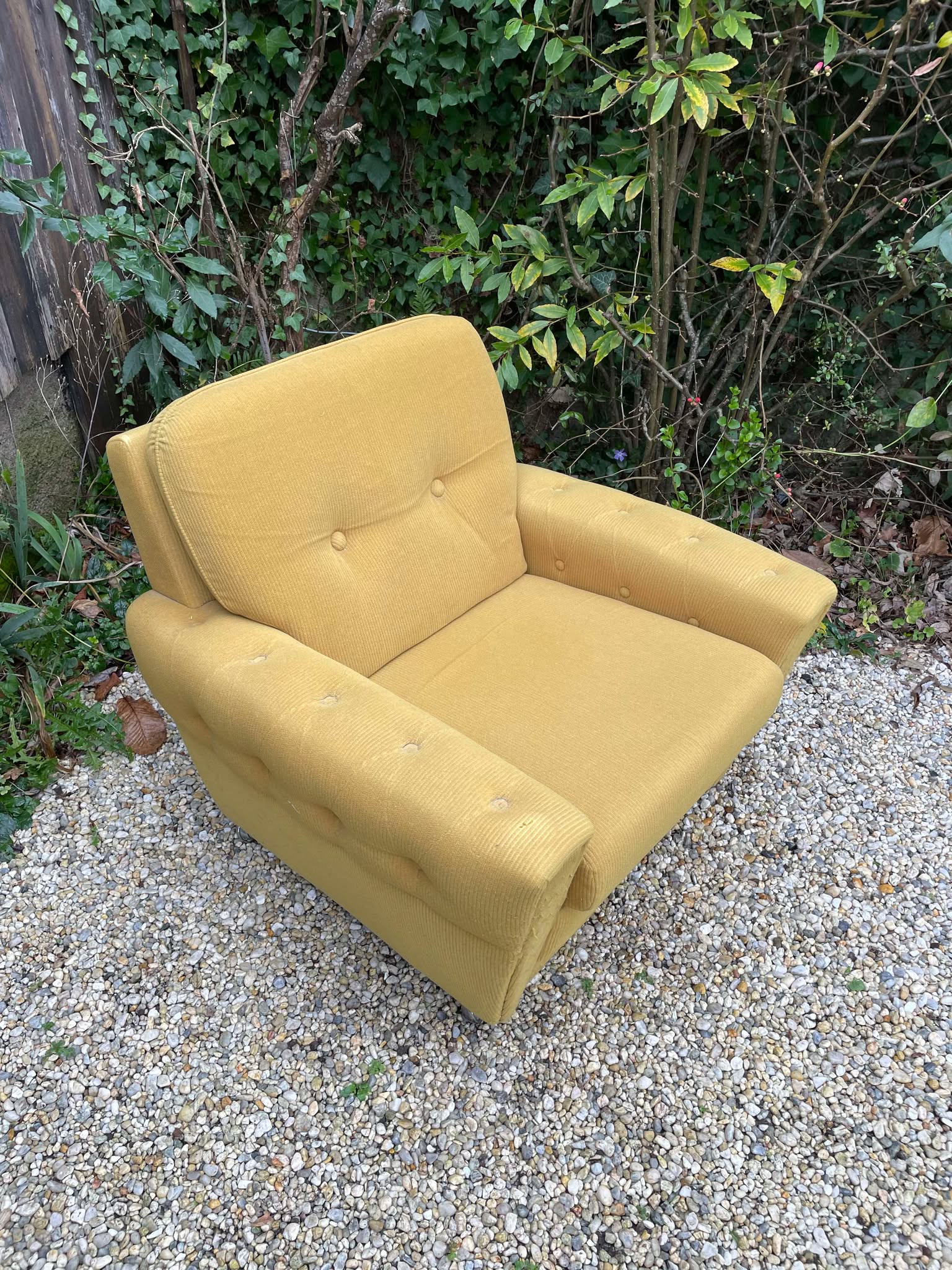 Fauteuil club velours moutarde