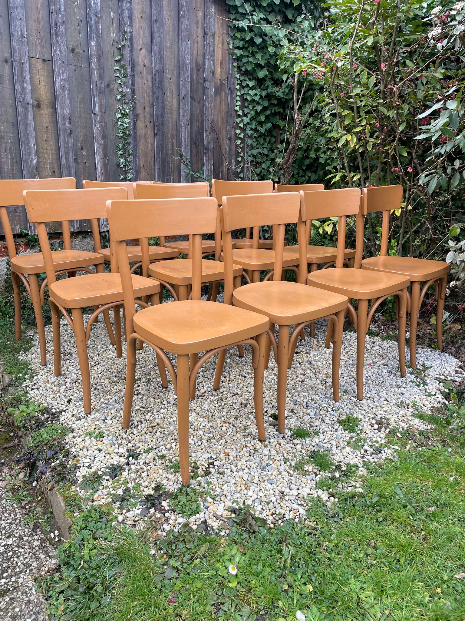 Chaises bistrot Thonet