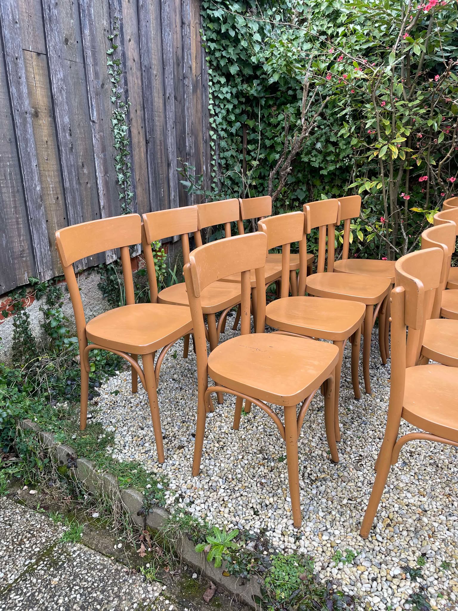 Chaises bistrot Thonet