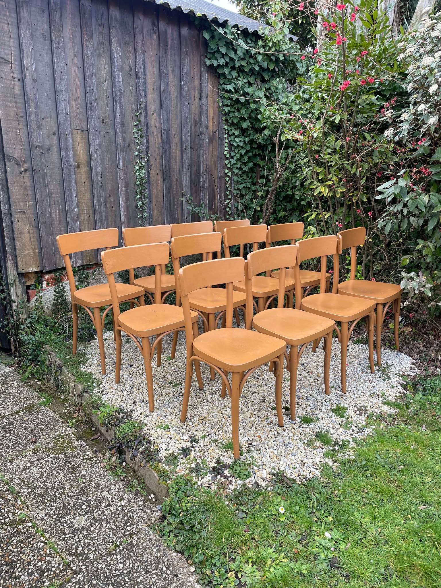 Chaises bistrot Thonet