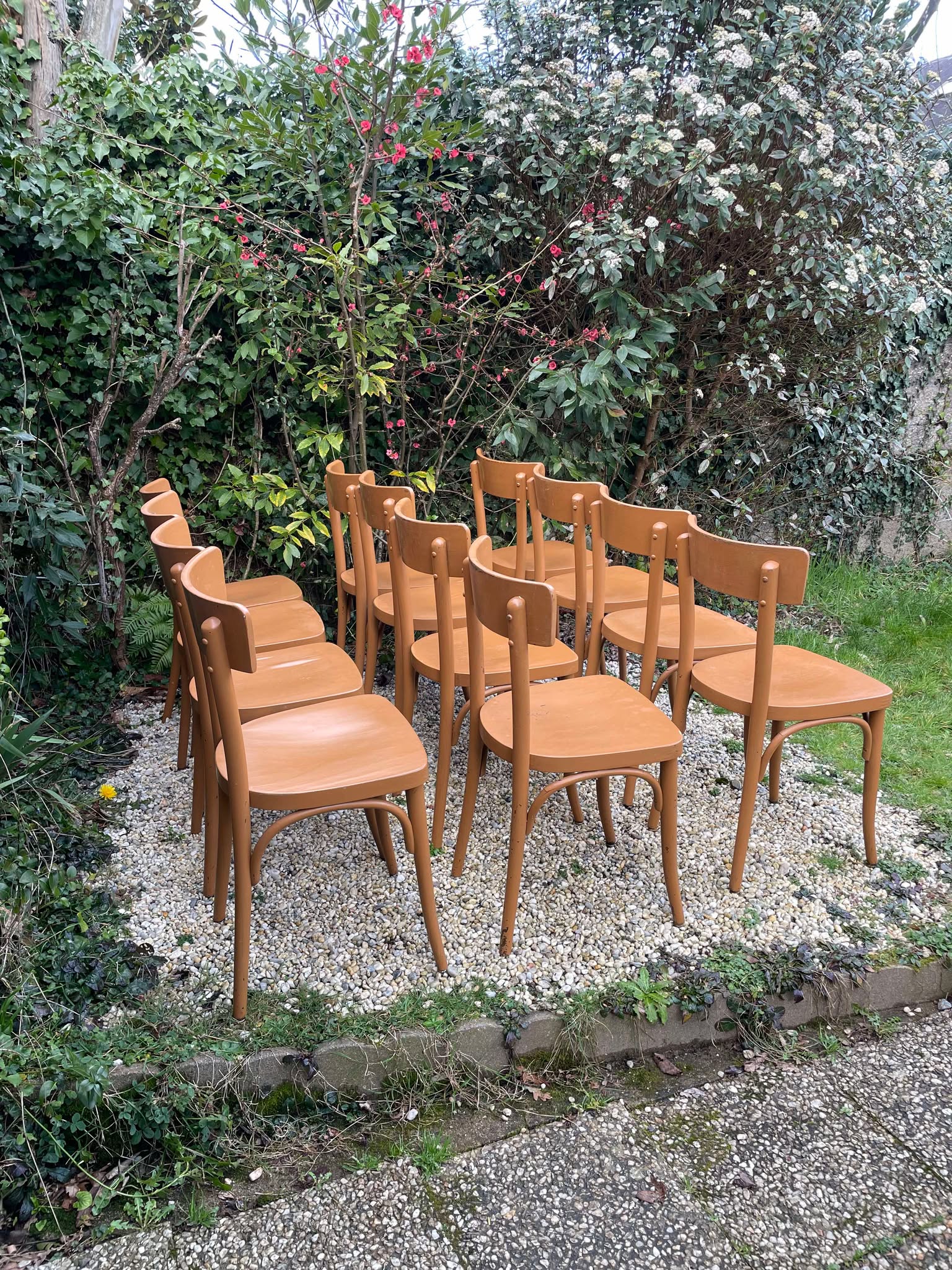 Chaises bistrot Thonet