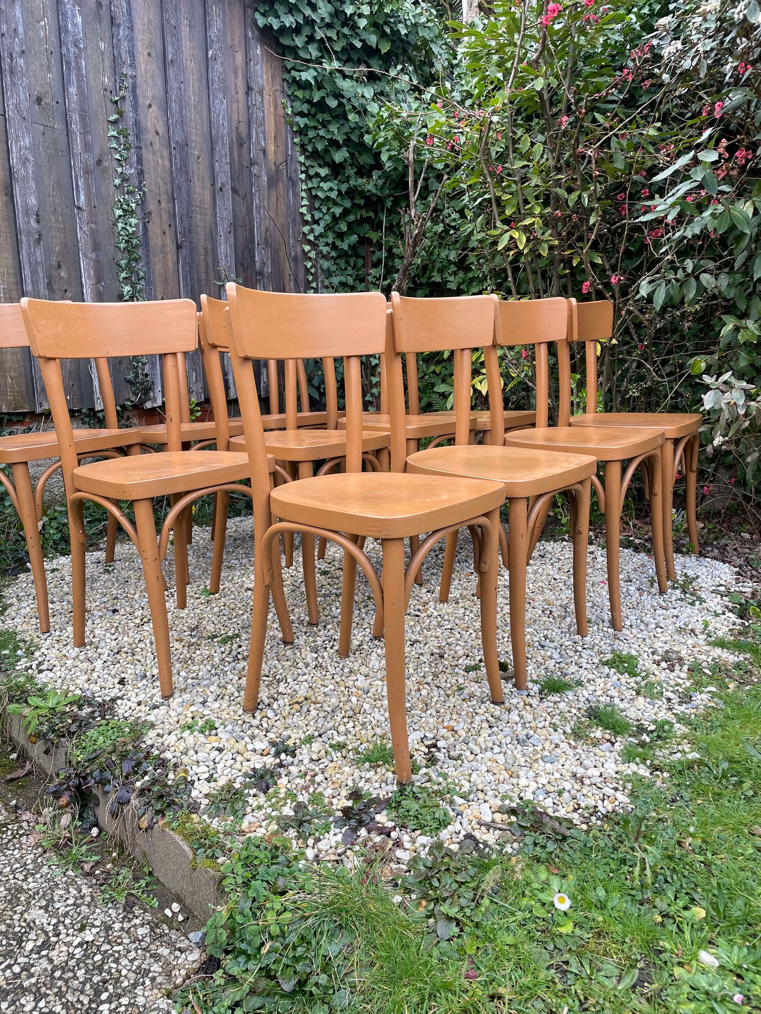 Chaises bistrot Thonet