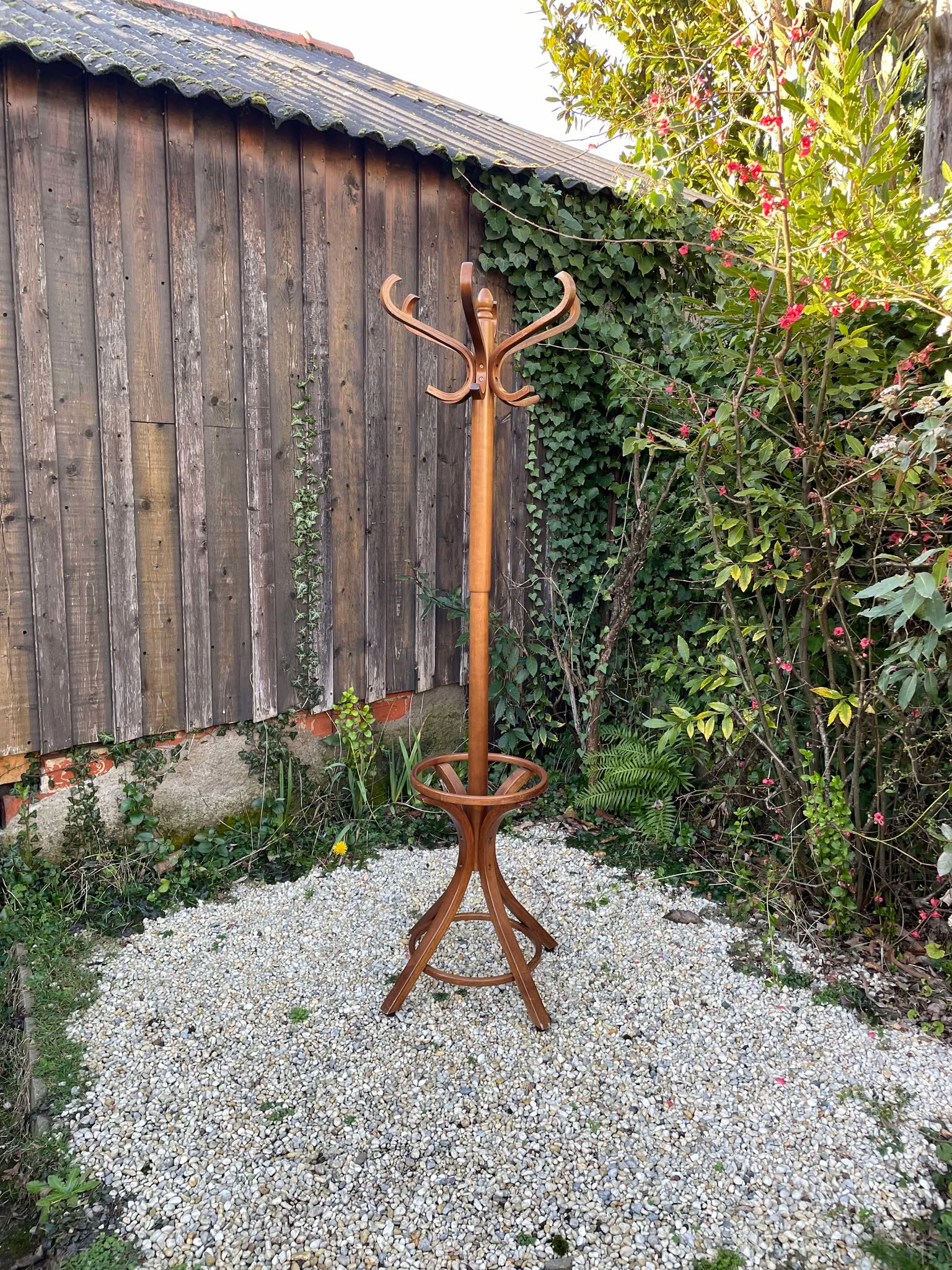 Porte manteaux perroquet Baumann