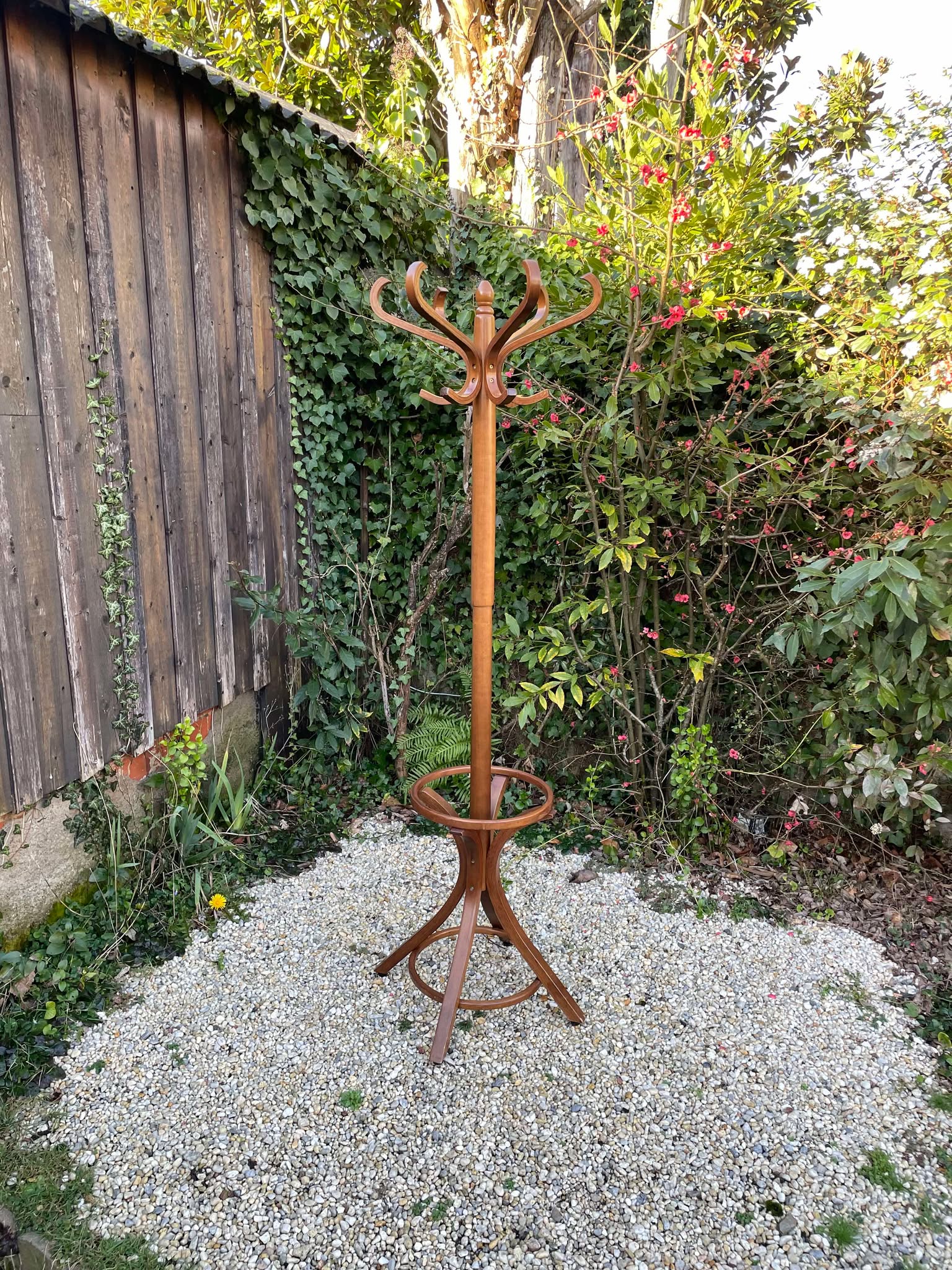 Porte manteaux perroquet Baumann