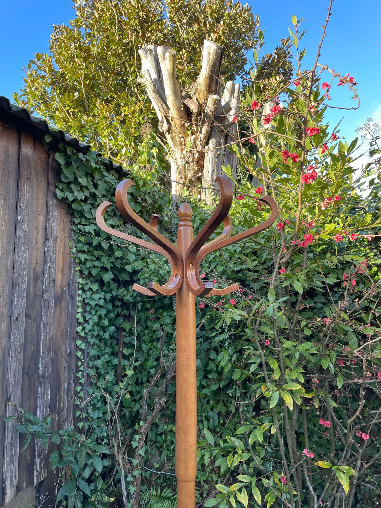 Porte manteaux perroquet Baumann