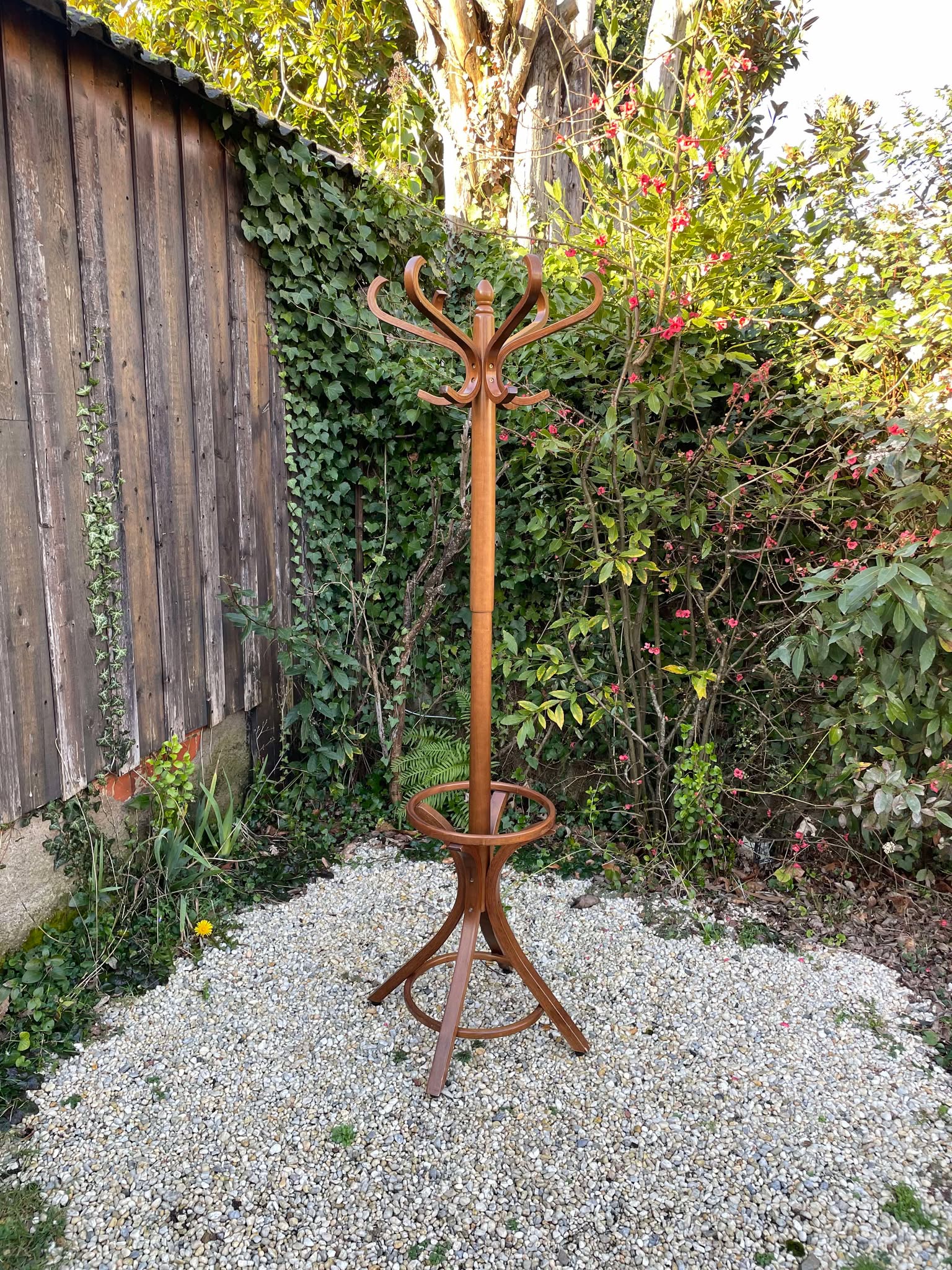 Porte manteaux perroquet Baumann