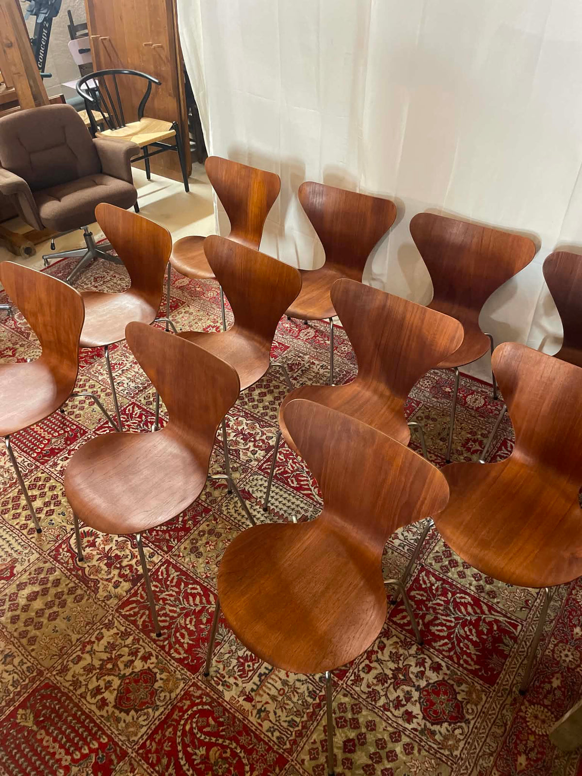 Lot de 11 chaises Series 7 par Arne Jacobsen pour Fritz Hansen – Teck