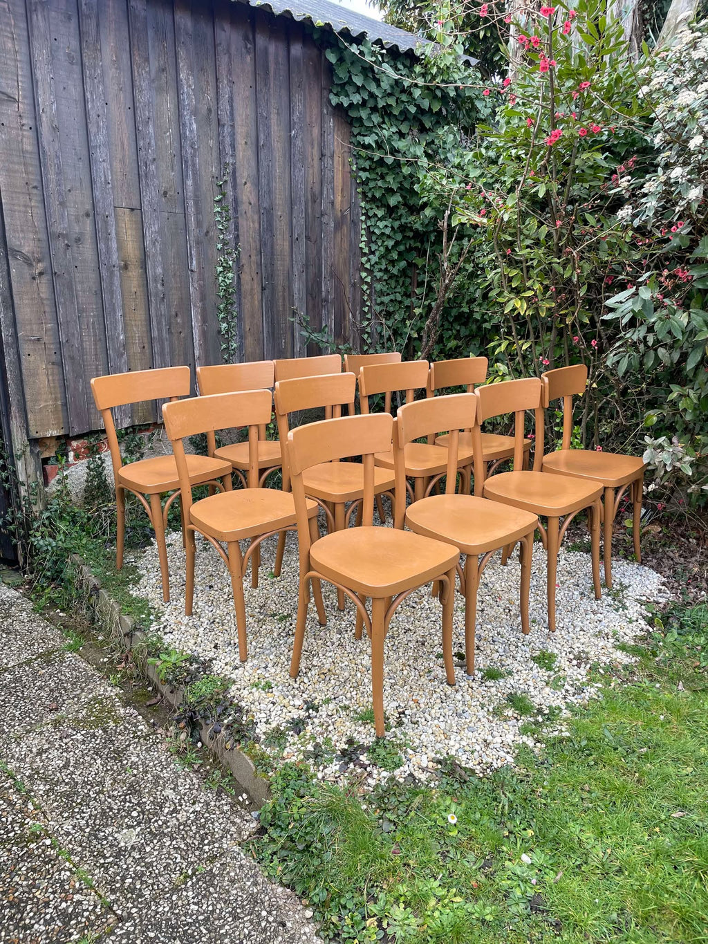 Chaises bistrot Thonet