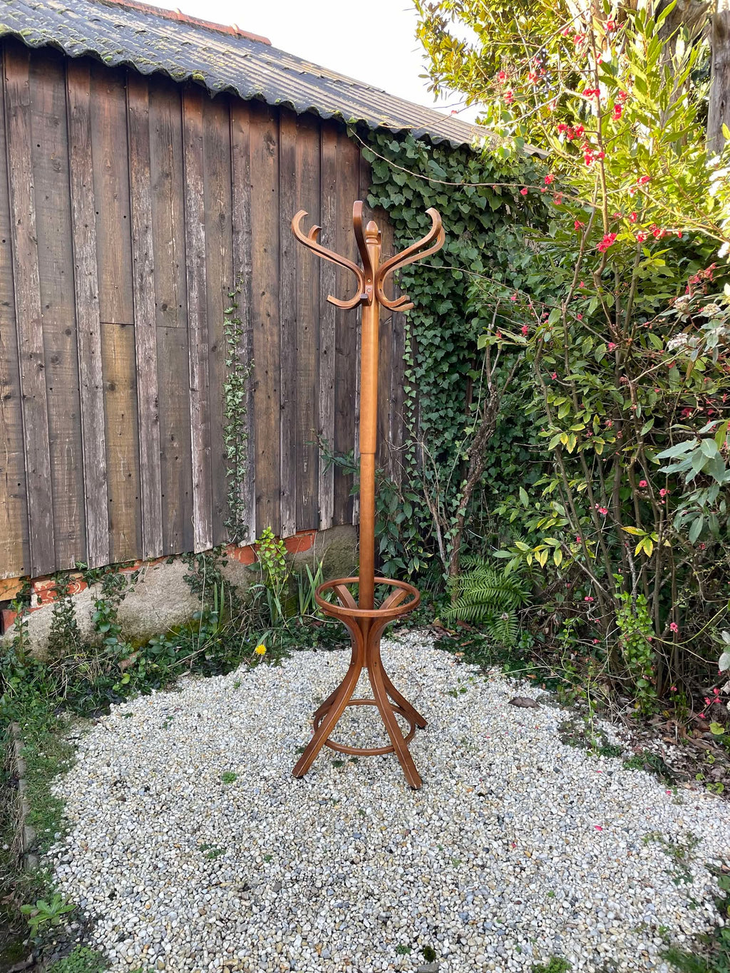 Porte manteaux perroquet Baumann