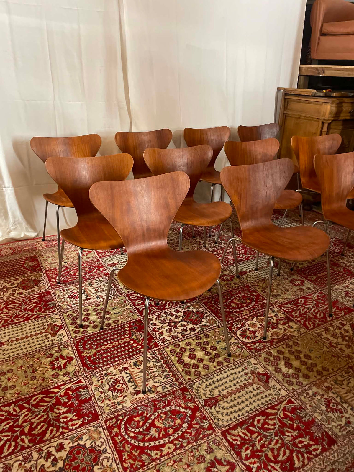 Lot de 11 chaises Series 7 par Arne Jacobsen pour Fritz Hansen – Teck