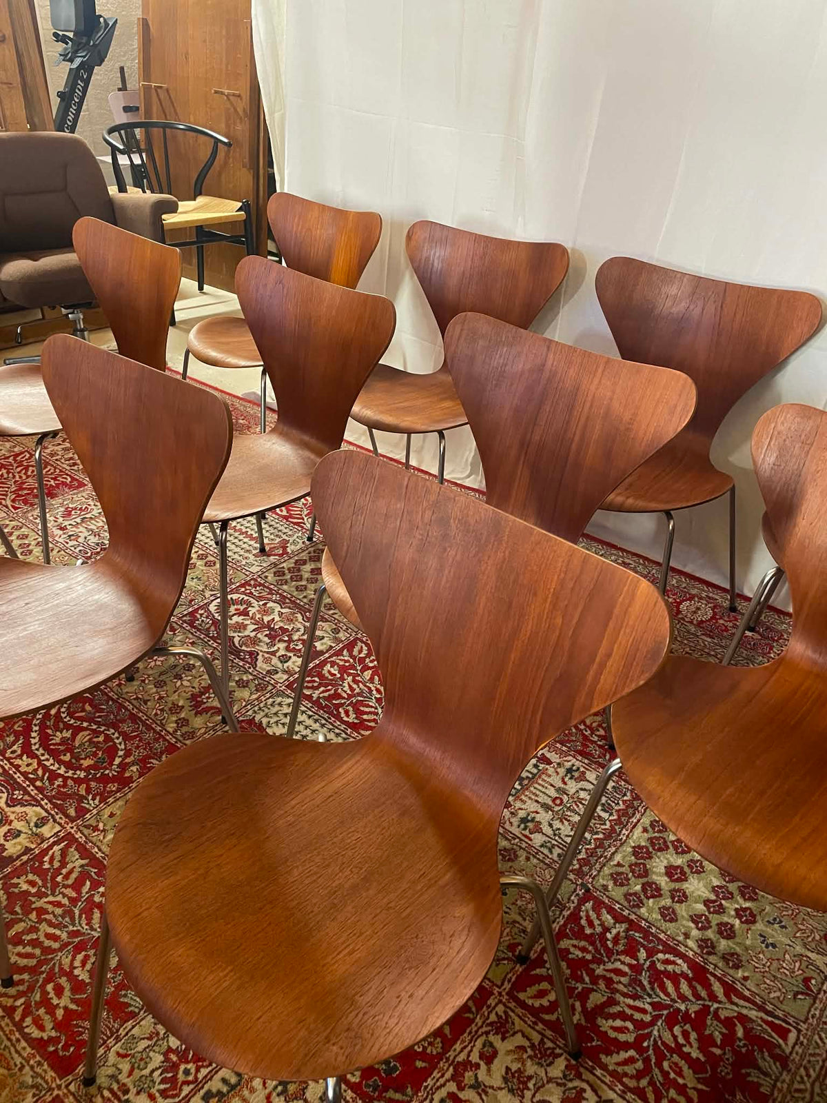 Lot de 11 chaises Series 7 par Arne Jacobsen pour Fritz Hansen – Teck